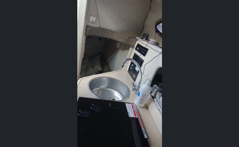 Sea Ray 240 Sundancer-kuva-4